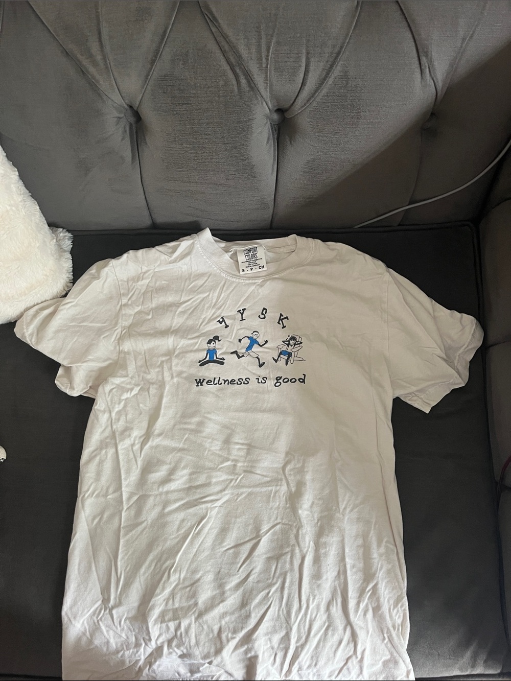 Comfort Colors Graphic T-Shirt - Wellness Is Good